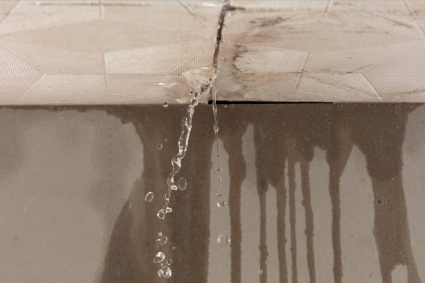 Professional Sewage Cleanup technician working in Adams, TN